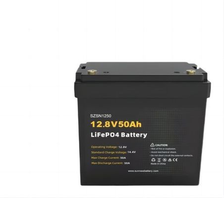 Batterie-tiefer Zyklus-Stall 50AH NCM Lithium-EV mit errichtet in BMS
